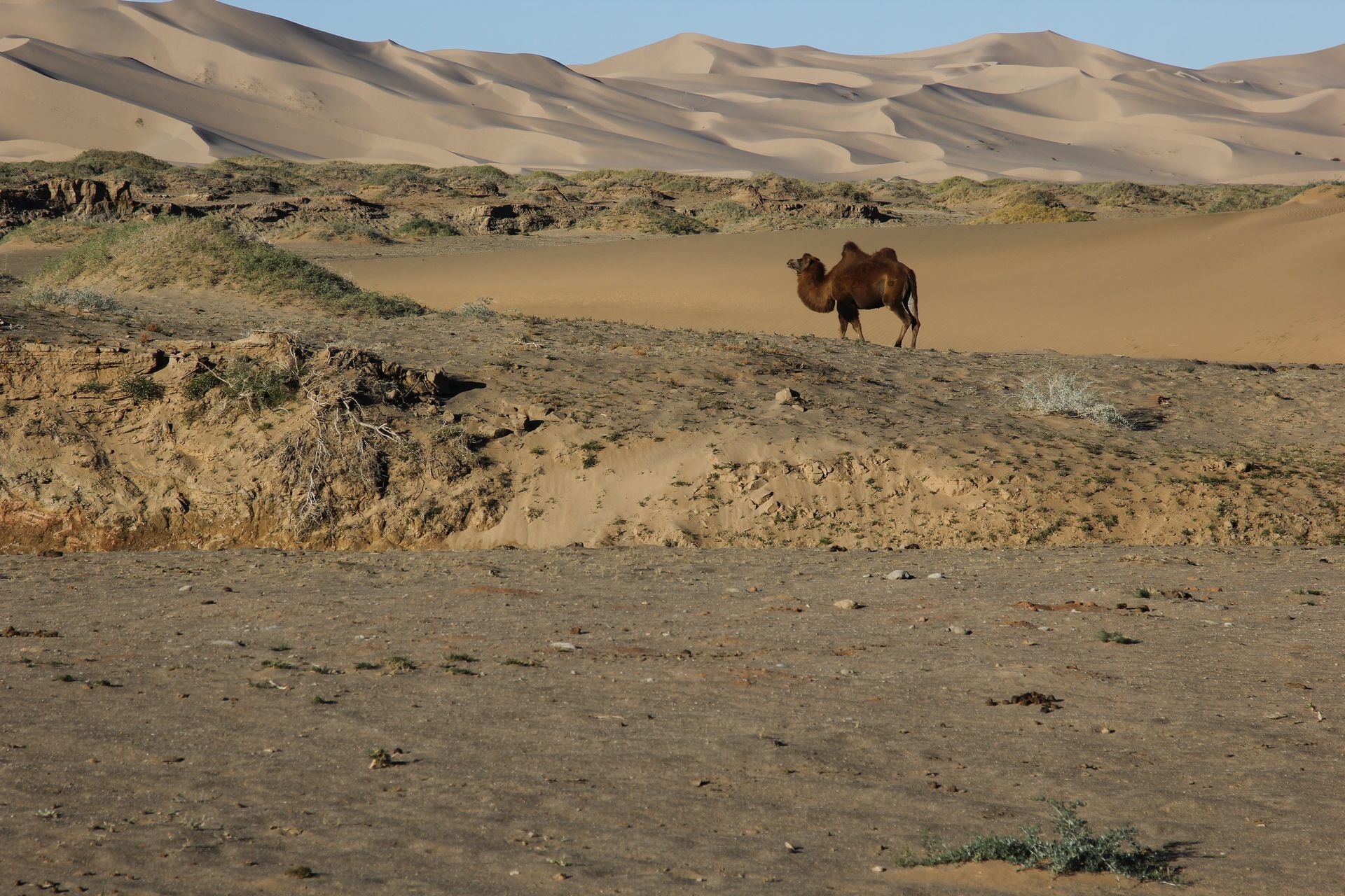 Большое йога-путешествие — наследие древней Монголии