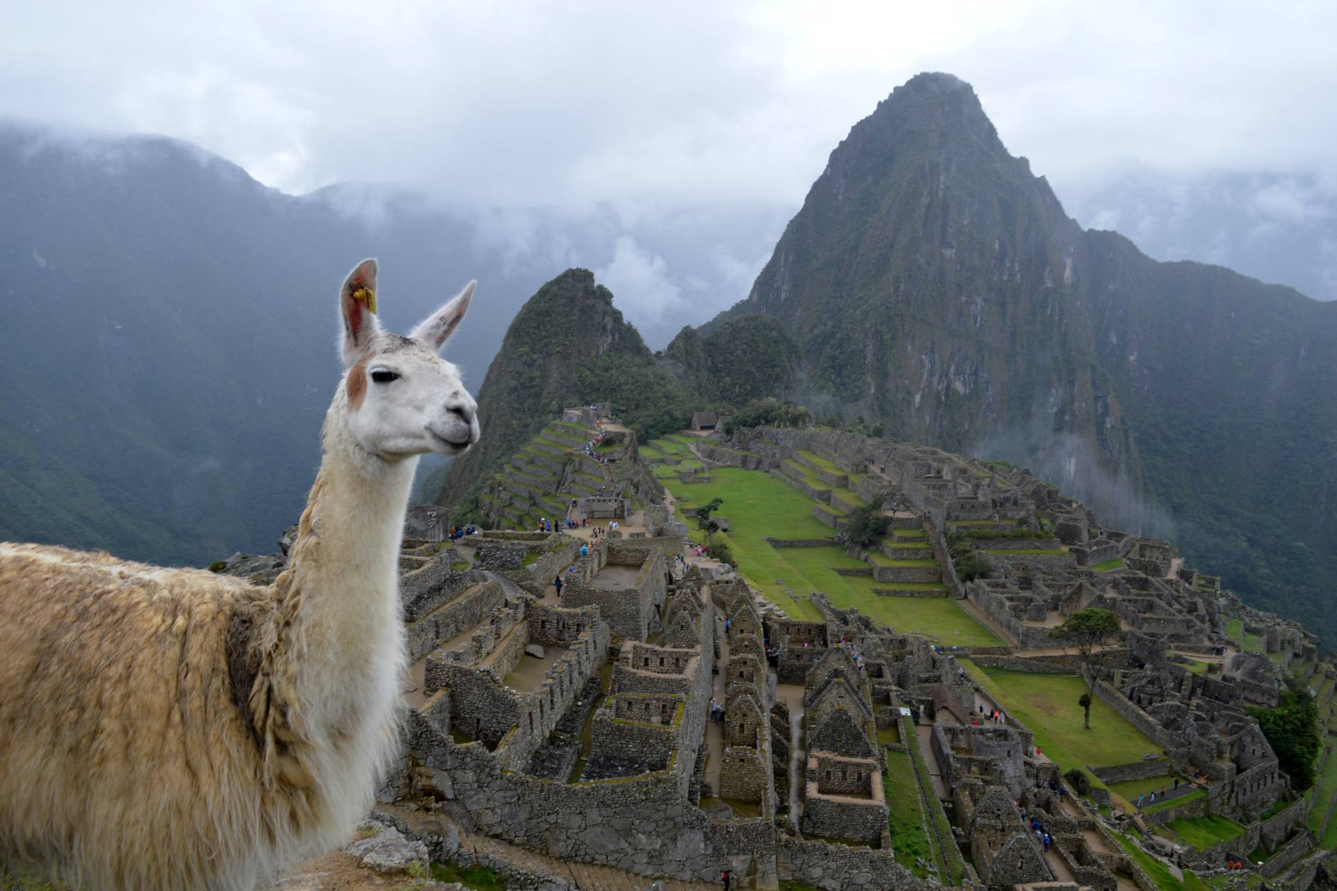 Перу: загадки древних цивилизаций