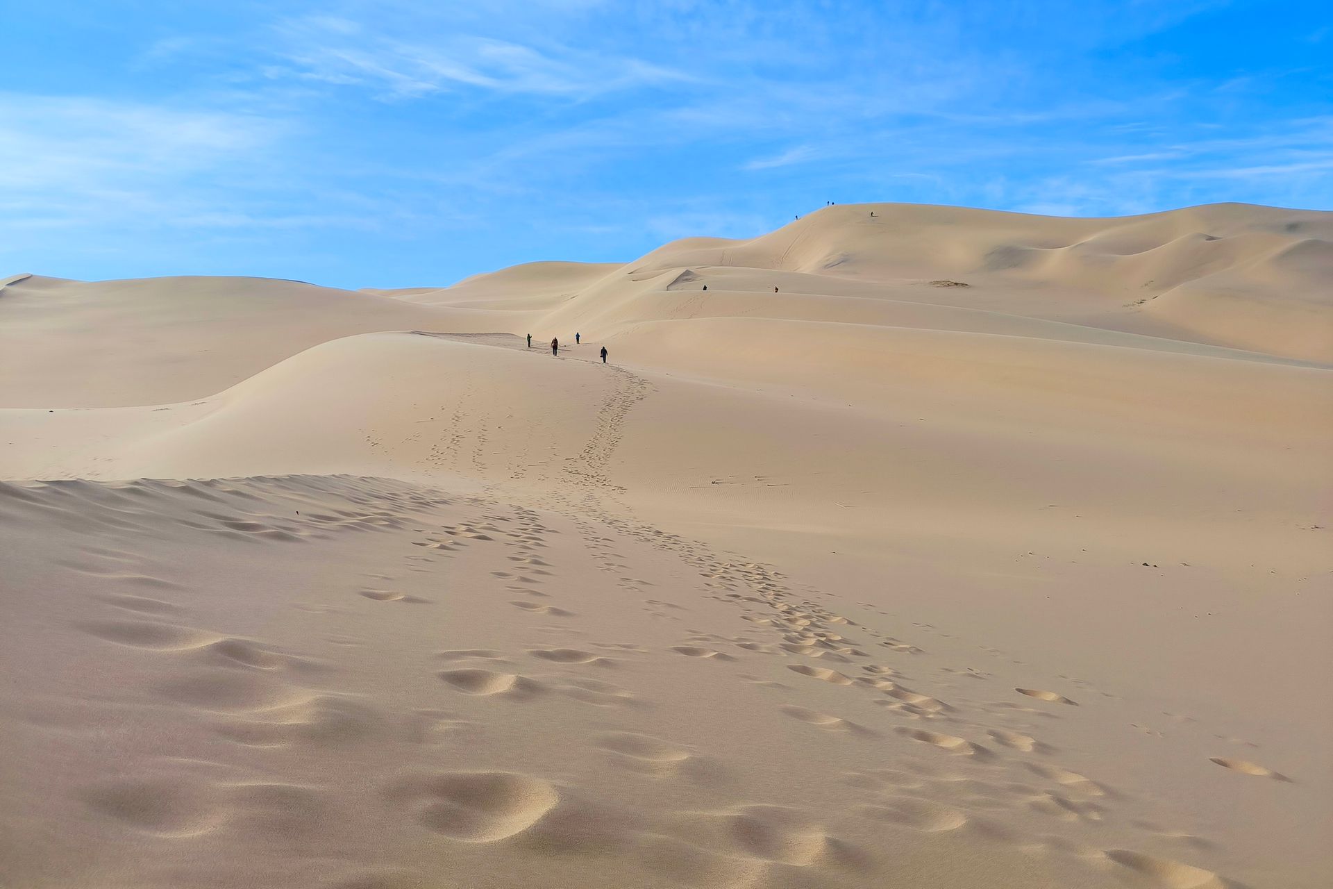 Монголия: приключения в пустыне Гоби
