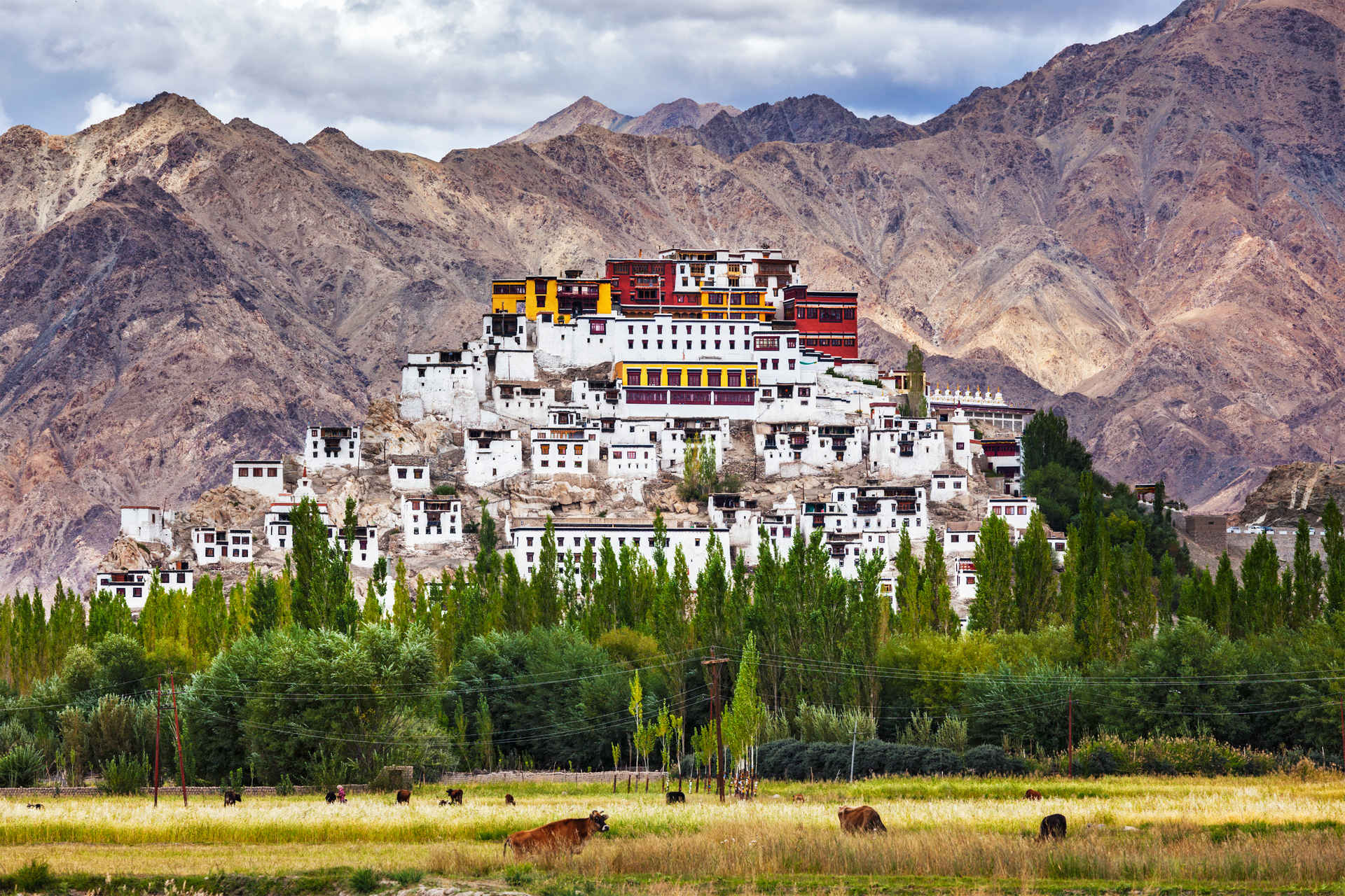 Королевство Ладакх: природа Малого Тибета и лунные пейзажи Индийских Гималаев